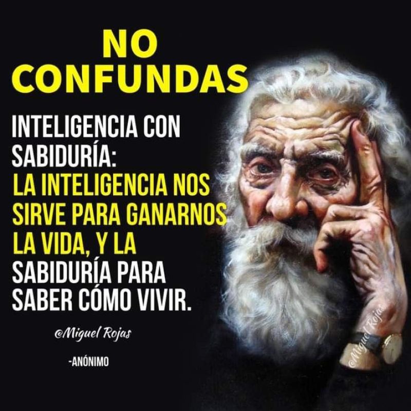 no confundas inteligencia con sabiduria.jpg
